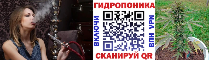 Наркошоп купить Cocaine  APVP  ГАШ  Каннабис  МЕФ  Зуевка