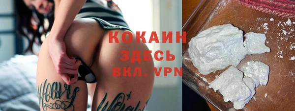 прущие грибы Балабаново