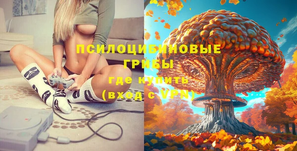 PSILOCYBIN Алексеевка