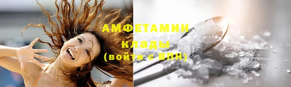 прущие грибы Балабаново