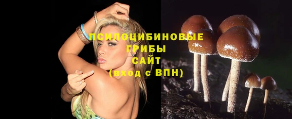 не бодяженный Алзамай