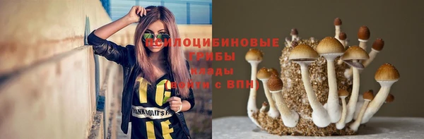 PSILOCYBIN Алексеевка