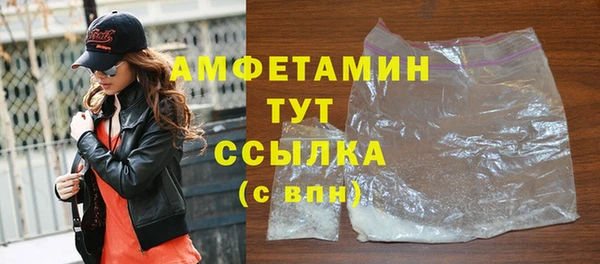 прущие грибы Балабаново