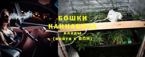 PSILOCYBIN Алексеевка