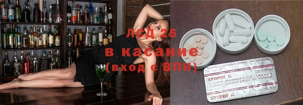 индика Алексин