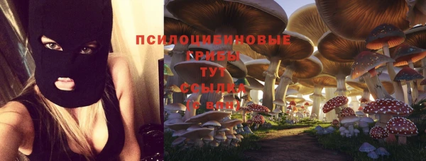 индика Алексин