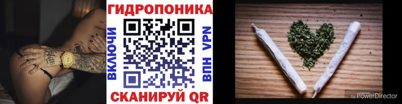 Канабис OG Kush Купить где Зуевка